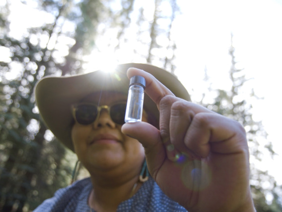 Woman in a river bed collecting a water sample