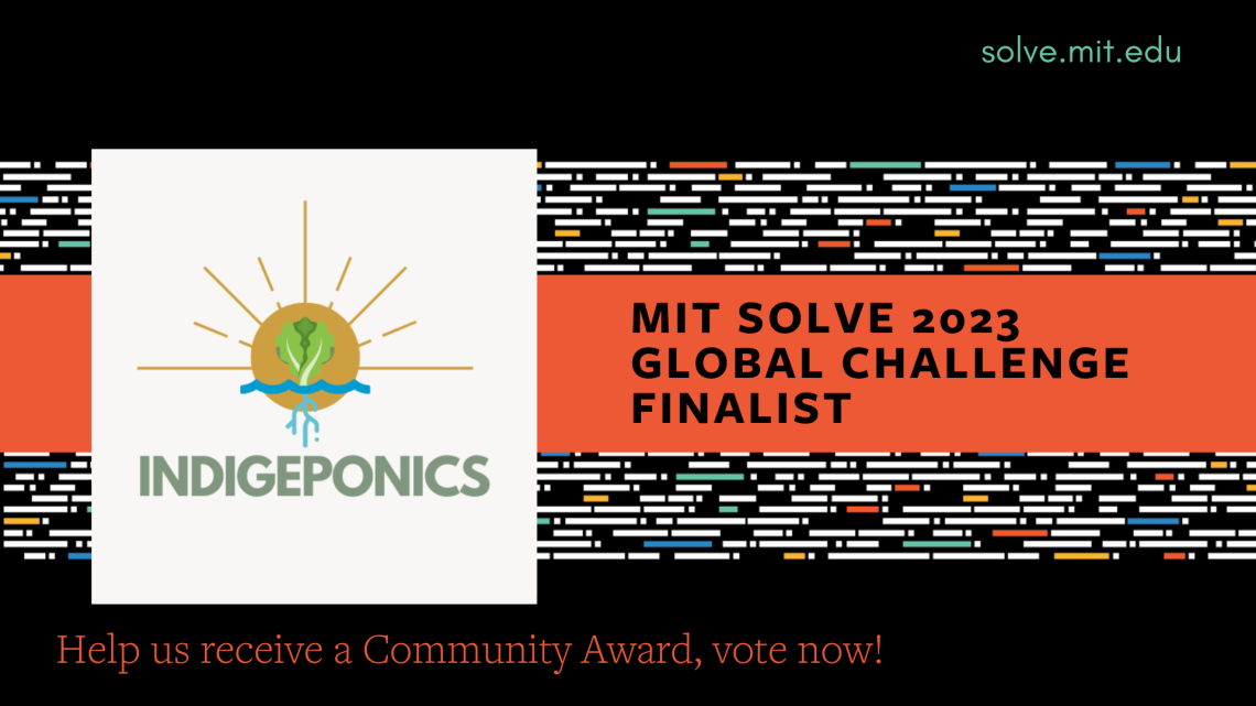 Indigeponics MIT SOLVE Finalist